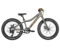VTT Enfant ROXTER 20 Argent - Image 1/1